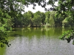 Waldsee - Eigentumswohnung „Wohnen am Waldsee“ in Hermsdorf – lebenslanges Wohnrecht –