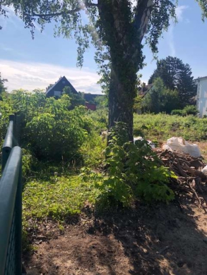 Baugrundstück in ruhiger Wohnlage von Berlin-Heiligensee, 13503 Berlin, Wohngrundstück